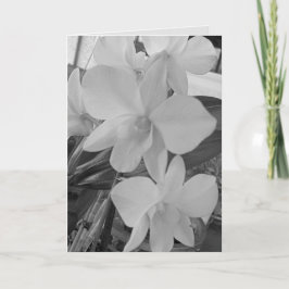 GråskaleOrchids på ett Sympathy Card Anteckningskort