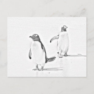 Gråskalsfärgning Penguins Antarktis vykort