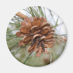 Gräskotte Magnet