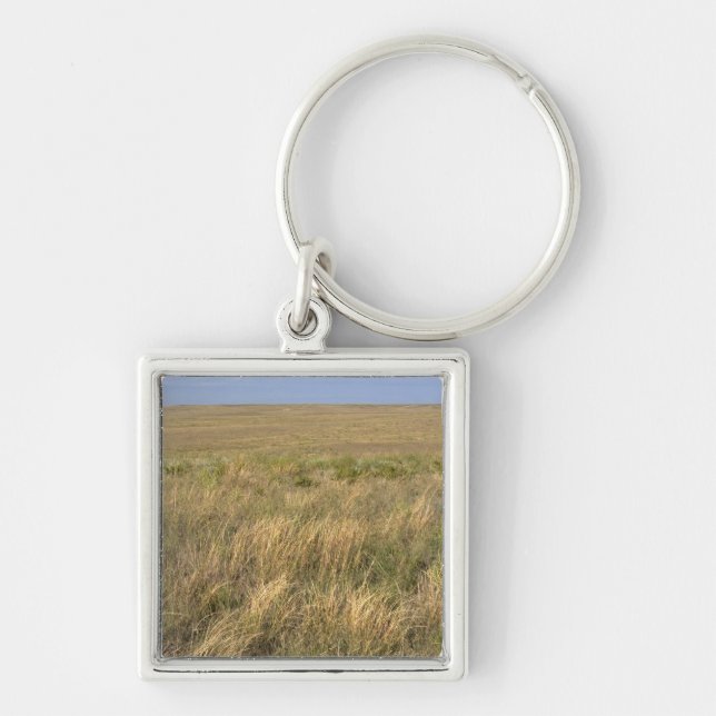 Gräsmark prärien öster om Sidney, Nebraska. Fyrkantig Silverfärgad Nyckelring (Framsidan)