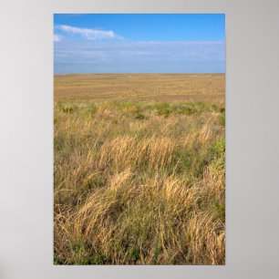 Gräsmark prärien öster om Sidney, Nebraska. Poster