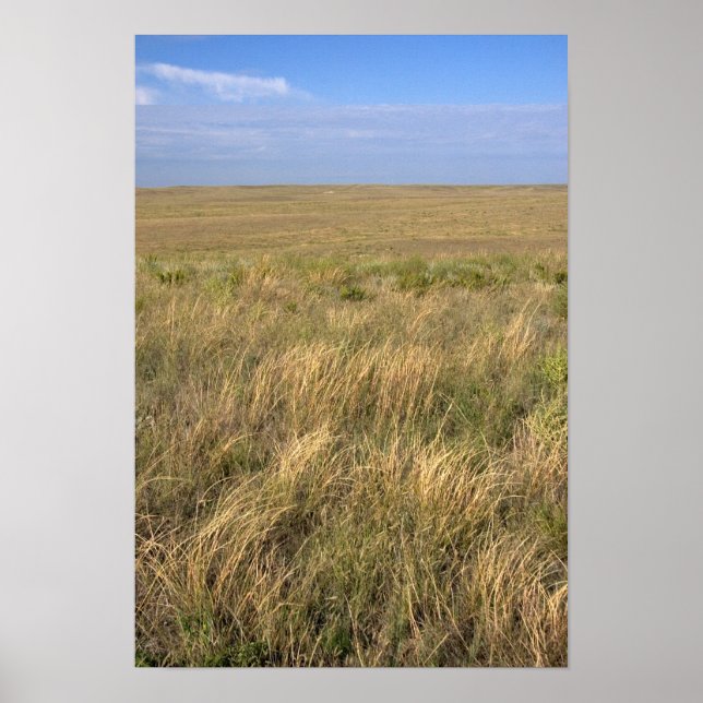 Gräsmark prärien öster om Sidney, Nebraska. Poster (Framsidan)