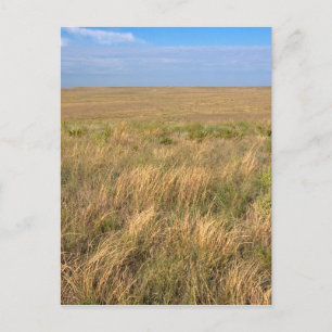 Gräsmarksprairie öster om Sidney, Nebraska. Vykort