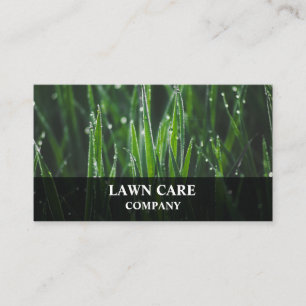 Gräsmatta Care Landcape modern professionell yard Visitkort