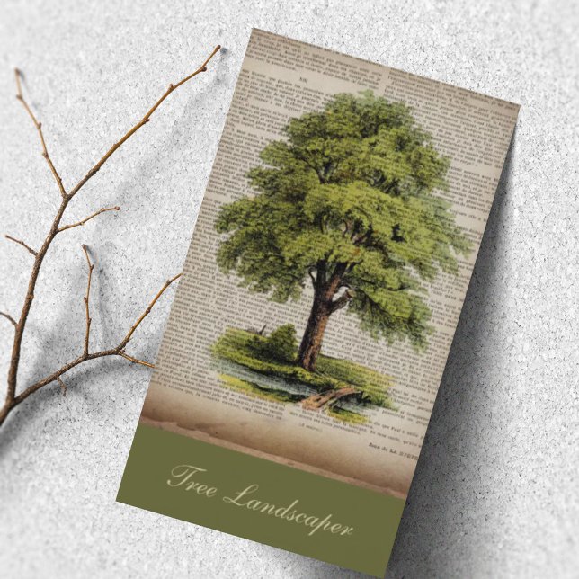 Gräsmatta Care Landscaping Vintage Oak Träd Visitkort (Lawn Care Landscaping Vintage Oak Tree Business Card)