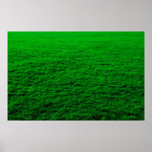 Gräsmatta för gräs i bakgrunden grönt poster