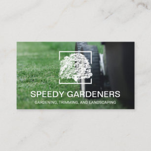 Gräsmatta Mower Styckningsgräs Träd Logotyp Visitkort