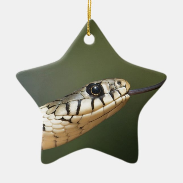 Gräsnäckesläktet Julgransprydnad Keramik (Framsidan)