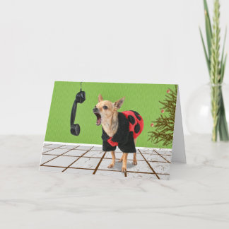 gräsnålar helgkort