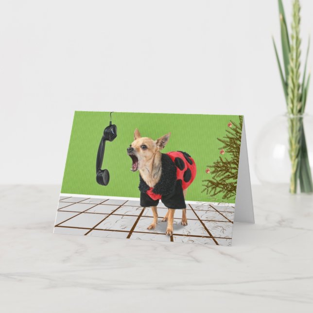 gräsnålar helgkort (Framsida)