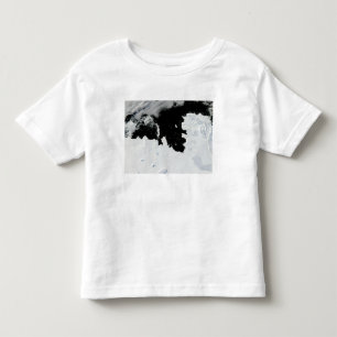 Gräsöfjärd i västra Antarktis T Shirt