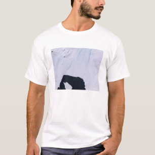Gräsöglaciär Tröja