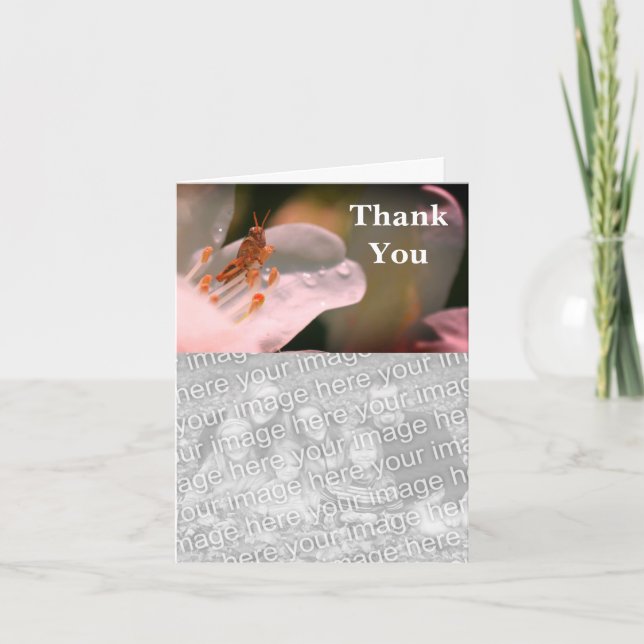 Grasoper på Azalea Tack-fotokort Tack Kort (Framsida)