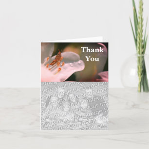 Grasoper på Azalea Tack-fotokort Tack Kort