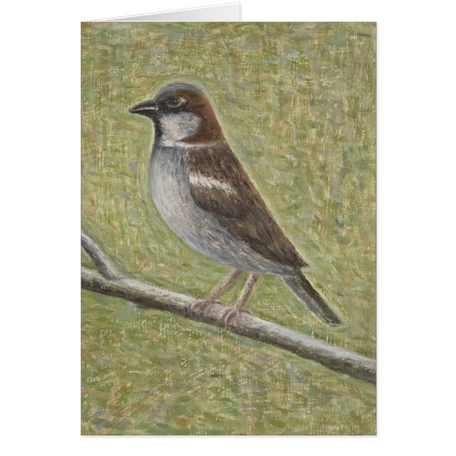 Gråsparv 2008 hälsningskort (Framsidan)