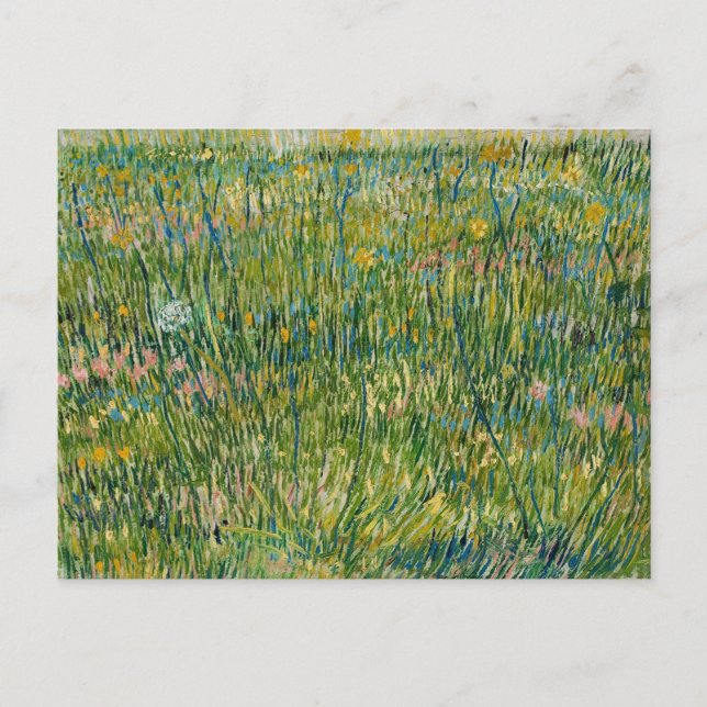 Gräsplätt | Vincent van Gogh Vykort (Framsida)