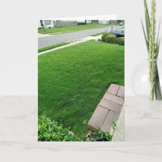 Grass är Grönt-KORT Kort (Framsida)