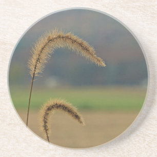 Grass Seed Stalks Underlägg Sandsten