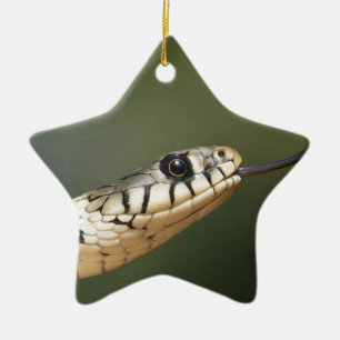 Grass Snake Julgransprydnad Keramik