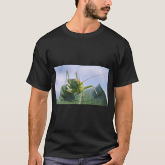 Grasshopper Nature Graphic T Shirt