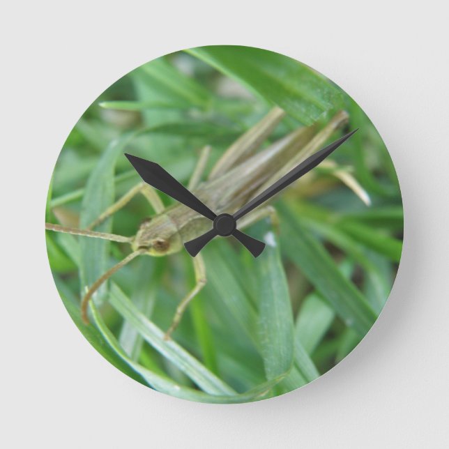 Grasshopper Wall Clock Rund Klocka (Framsida)