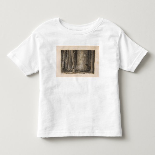 Grässkog, Oregon T-shirt (Framsida)