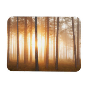 Grässkogen landskap magnet
