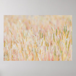 GRASSLAND HAR GÅTT TILL PASTEL-FÄRGAD AV HAN POSTER