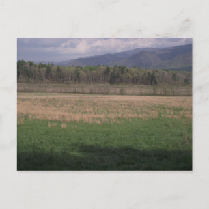 Grasslands in Cades Cove, Smoky Mountain Vykort