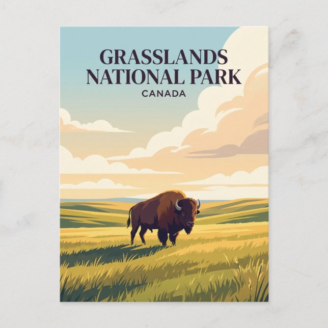 Grasslands National Park Kanada Vykort (Framsida)