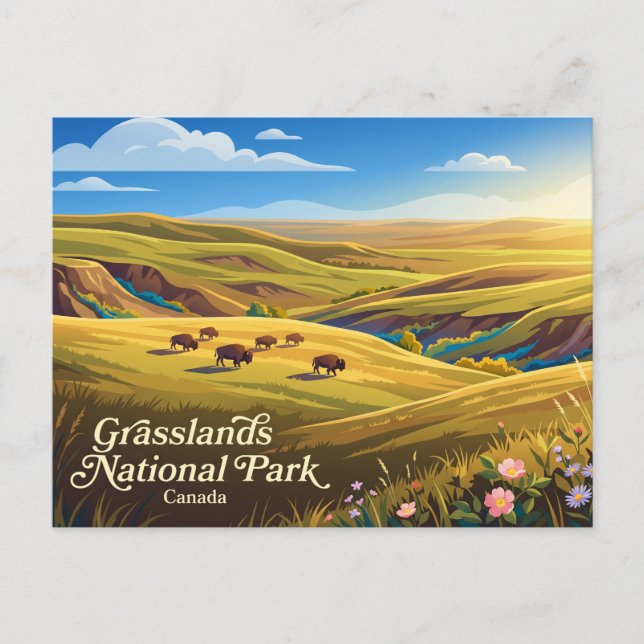 Grasslands nationalpark Kanada Vykort (Framsida)