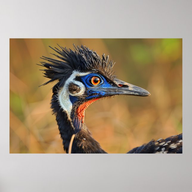 Grasslands sista ljus - Bengal Florican Poster (Framsidan)