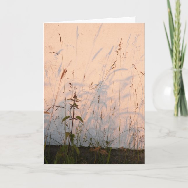 Grassskuggor Kort (Framsida)