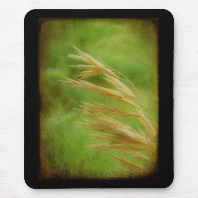 Grassutsäde Musmatta (Framsidan)