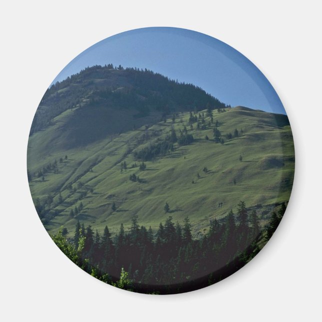 Grassy Covers Magnet (Framsidan)