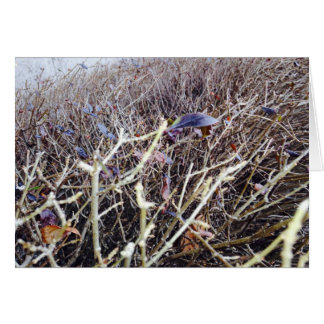 Grassy Flowers, min vy Hälsningskort