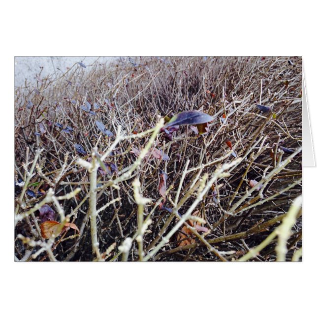 Grassy Flowers, min vy Hälsningskort (Framsidan Horizontal)