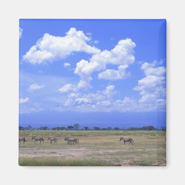 Grassy Plain Magnet (Framsidan)