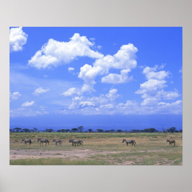 Grassy Plain Poster (Framsidan)