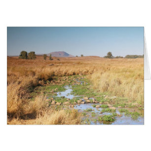 Grassy Plateau and Stream, Golan Heights, Israel Hälsningskort