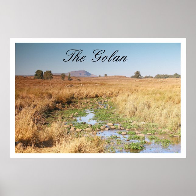 Grassy Plateau and Stream, Golan Heights, Israel Poster (Framsidan)