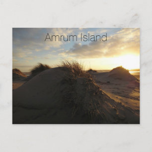 Grassy Sand Dunes at Sunset, Amrum Island, Tysklan Vykort