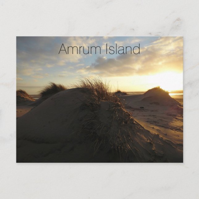 Grassy Sand Dunes at Sunset, Amrum Island, Tysklan Vykort (Framsida)