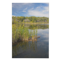Grassy Sjö