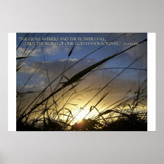 Gräsvävarna Poster