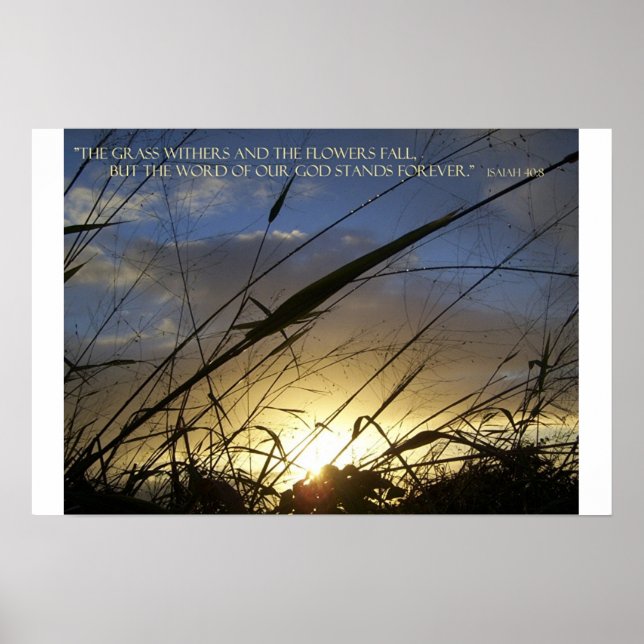 Gräsvävarna Poster (Framsidan)