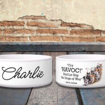 "Gråt Havoc" Hund Bowl med minimalistisk vattenfär