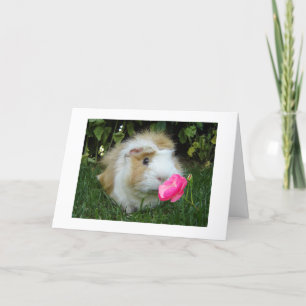GRATEFUL GERBIL LYCKLIG DET ÄR "DIN" BIRTHDAY INTE KORT