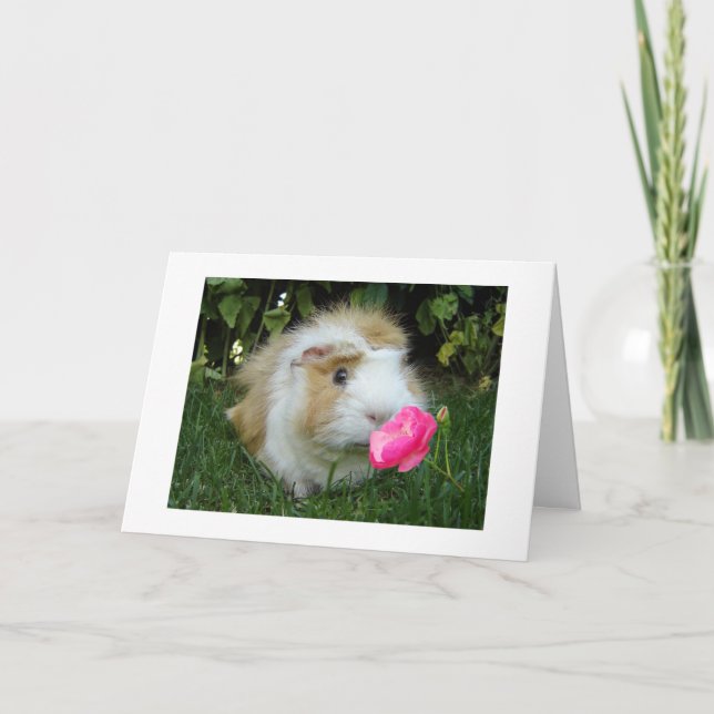 GRATEFUL GERBIL LYCKLIG DET ÄR "DIN" BIRTHDAY INTE KORT (Framsida)