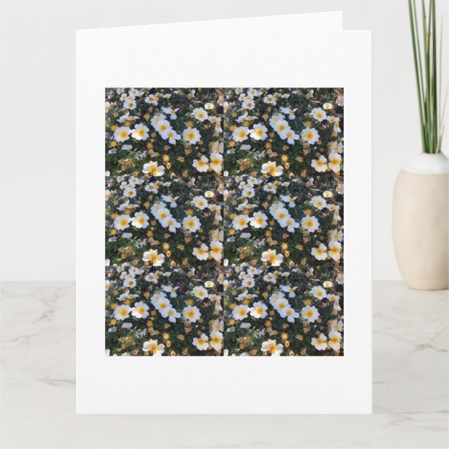 Gratise Express: Charming - tackkort Kort (Framsida)